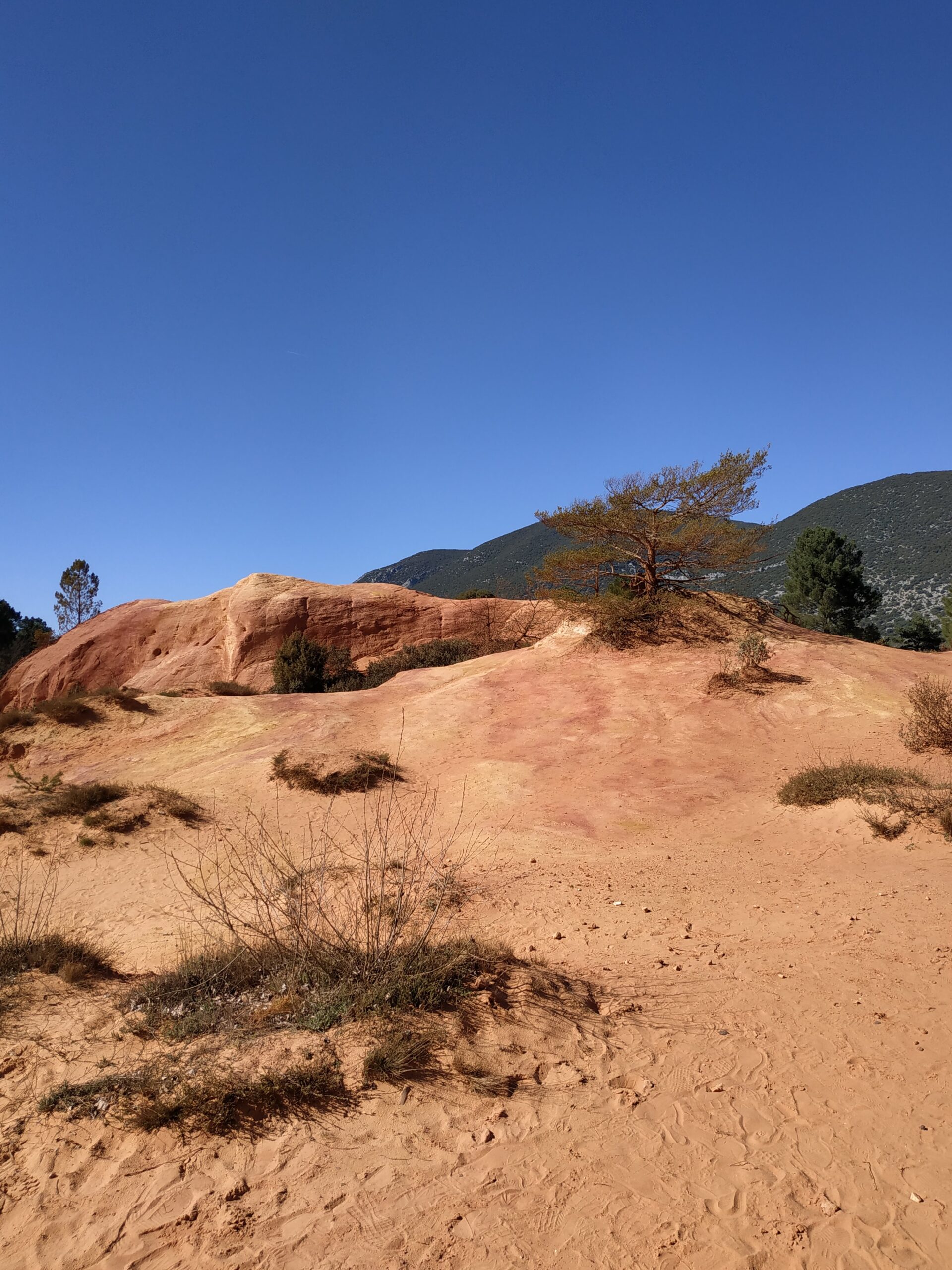 Le colorado provencal