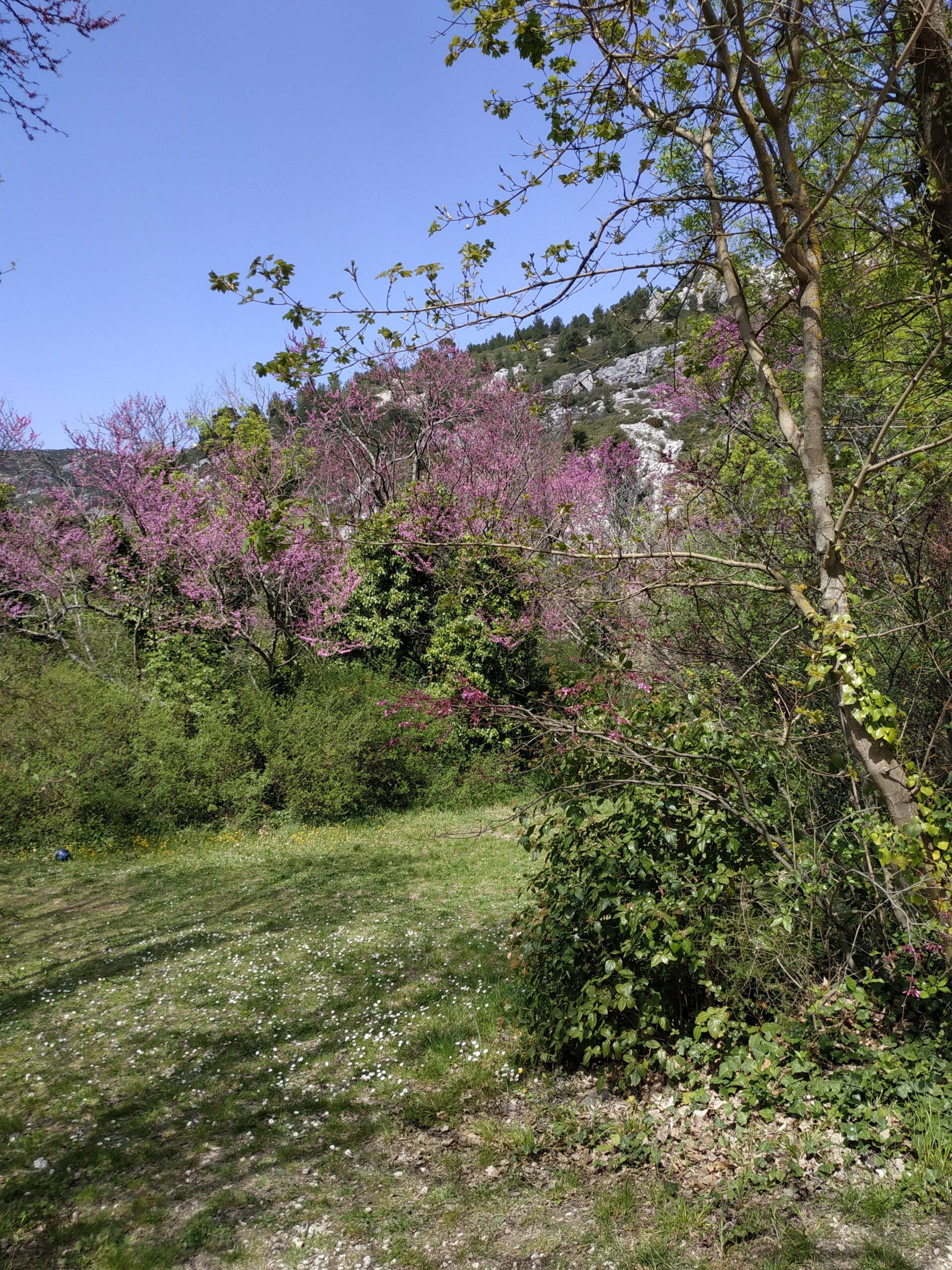 La vallée de Saint Pons